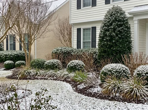 Curb appeal in winter — AI-designed yard