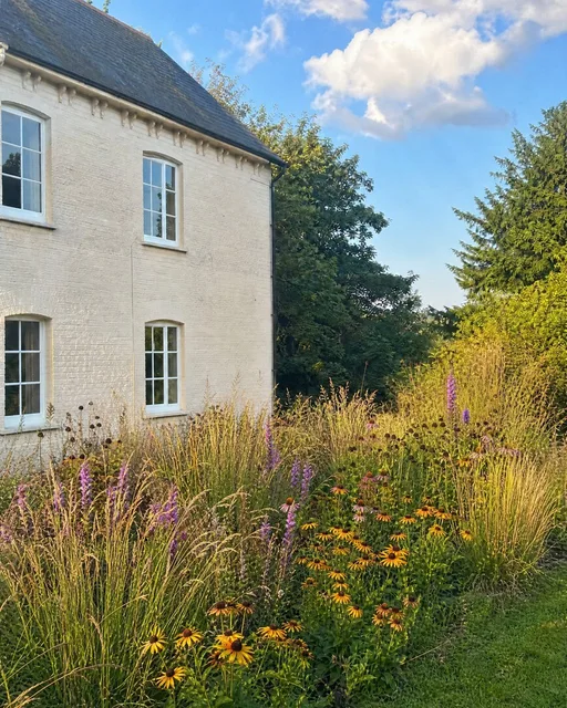 Grasses & prairie in summer — AI-designed yard