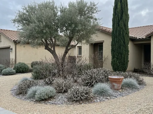 Mediterranean in winter — AI-designed yard